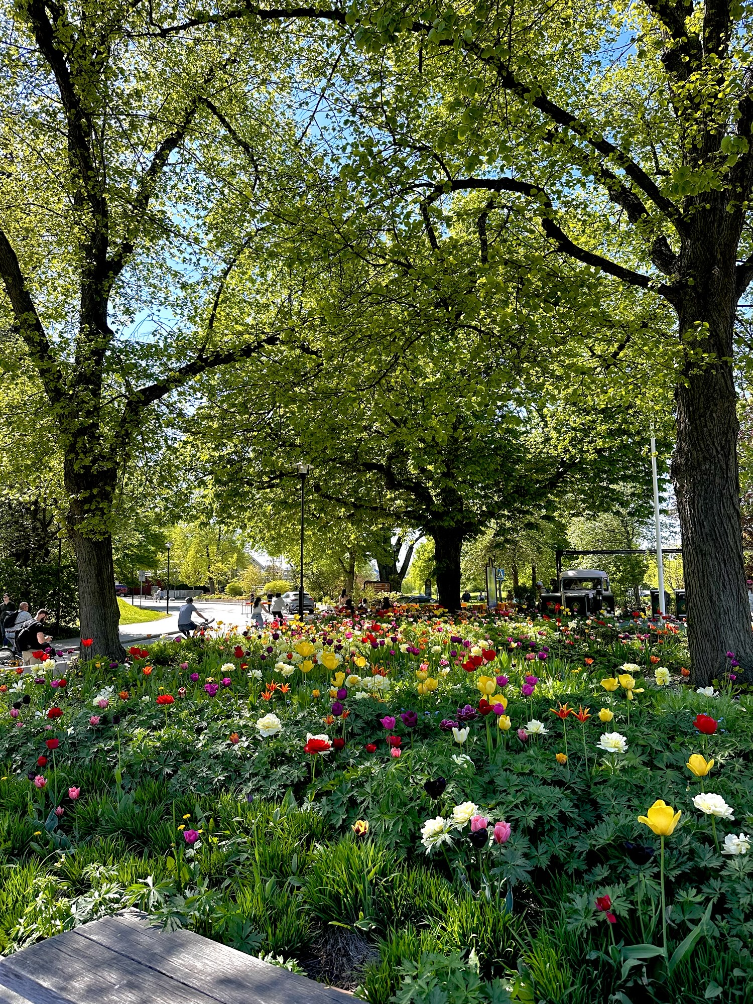 24 hours in Stockholm during Spring, Summer or Autumn: My Scenic Itinerary for when the Weather is Good.